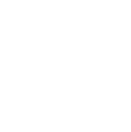 Secure Element(SE)