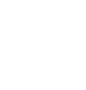 LCD